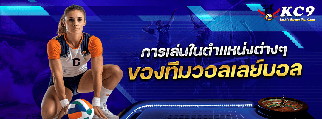 ทีมวอลเลย์บอล