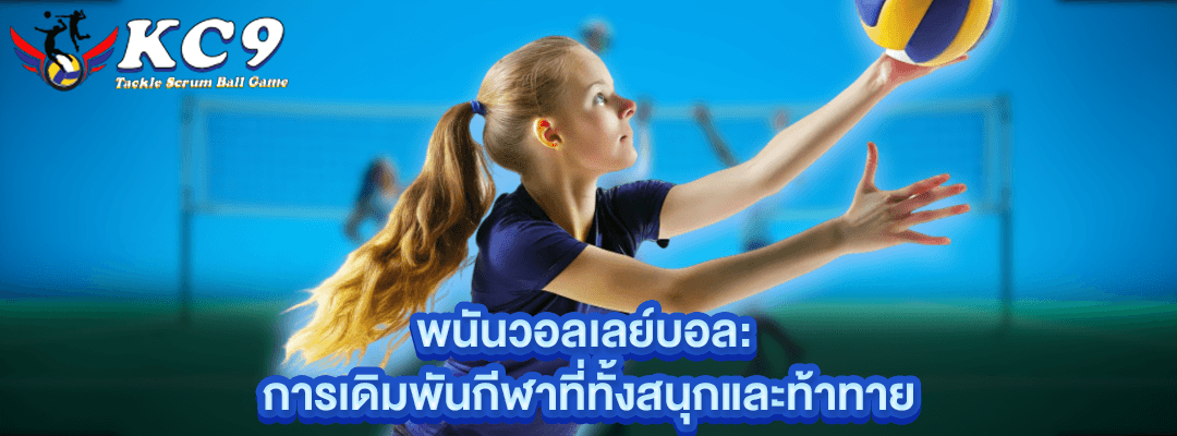 พนันวอลเลย์บอล